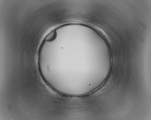 X0000111671424200908141419