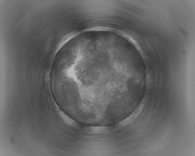 X0000111671425200908141419