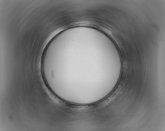 X0000111671426200908141419