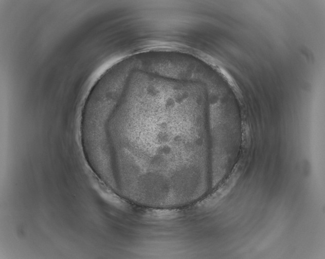 X0000111671427200908141419