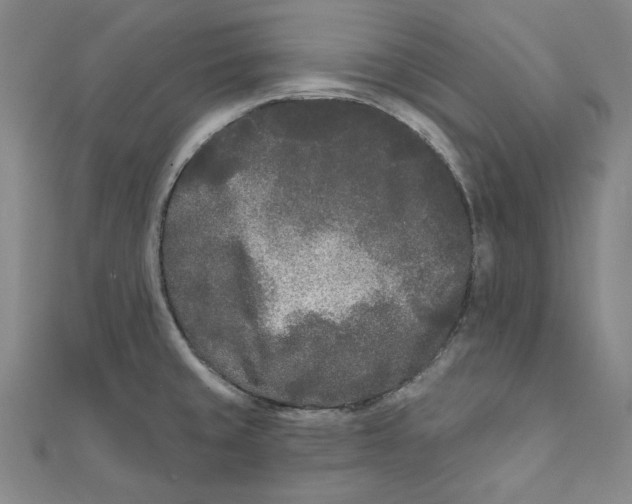 X0000111671429200908141419