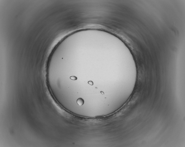 X0000111671430200908141419