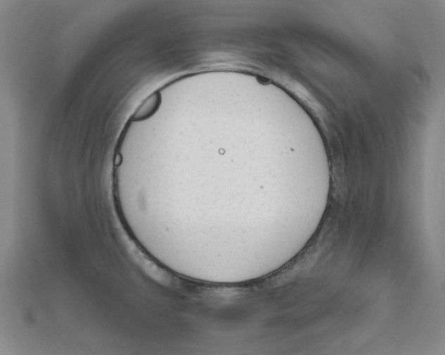 X0000111671431200908141419