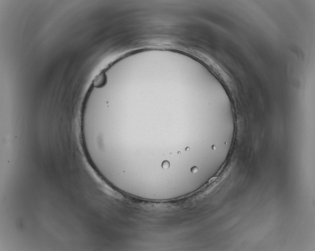 X0000111671432200908141419