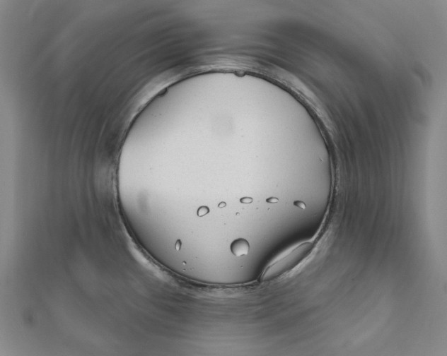 X0000111671433200908141419