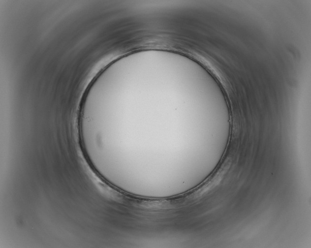 X0000111671434200908141419