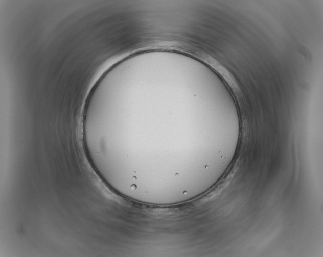 X0000111671436200908141419