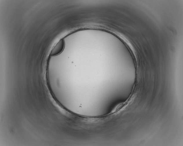 X0000111671437200908141419