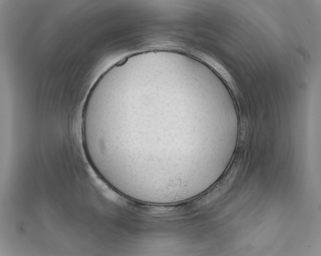 X0000111671439200908141419