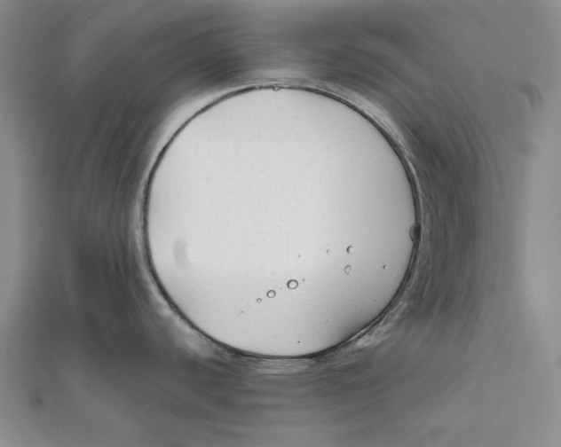 X0000111671440200908141419