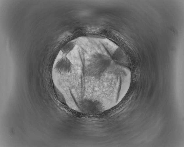 X0000111671441200908141418