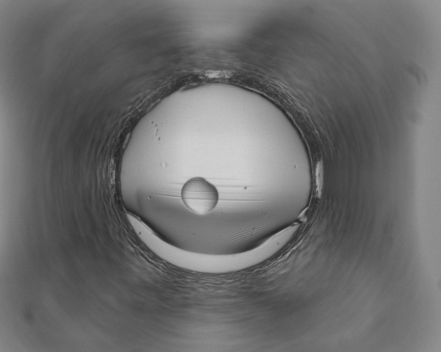 X0000111671443200908141418