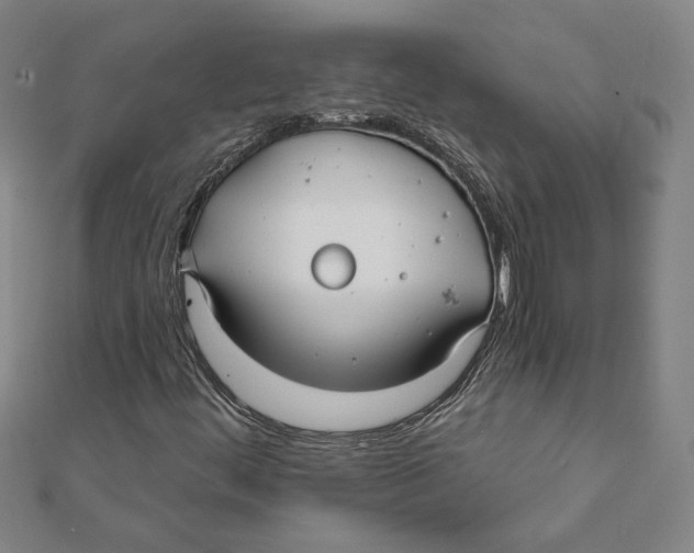 X0000111671444200908141418