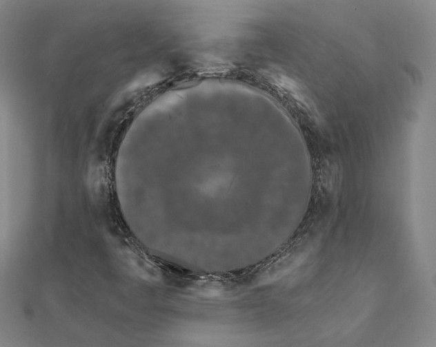 X0000111671445200908141418