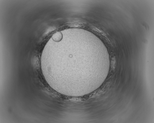 X0000111671446200908141418