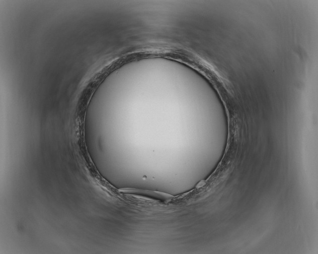 X0000111671448200908141418