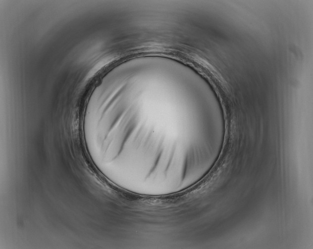 X0000111671450200908141418