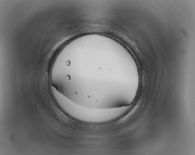 X0000111671453200908141418