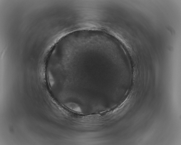 X0000111671455200908141418