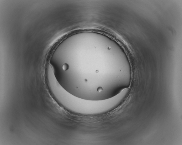 X0000111671456200908141418