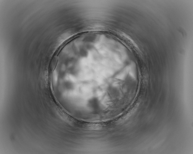 X0000111671457200908141418