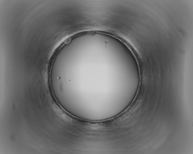 X0000111671460200908141418