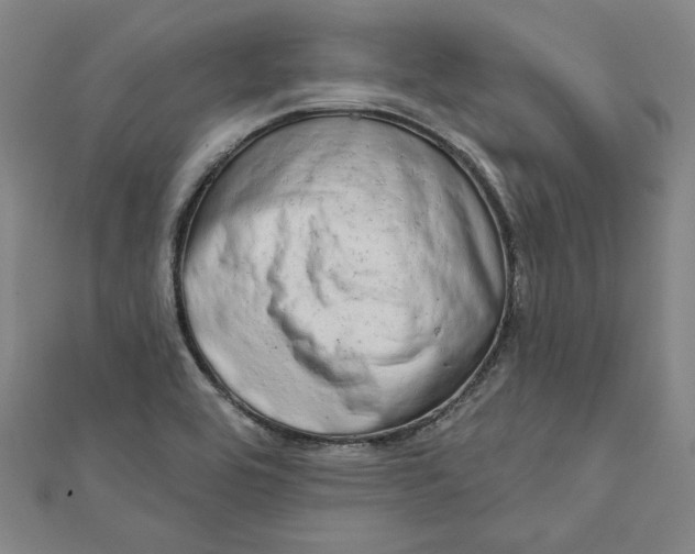 X0000111671464200908141418