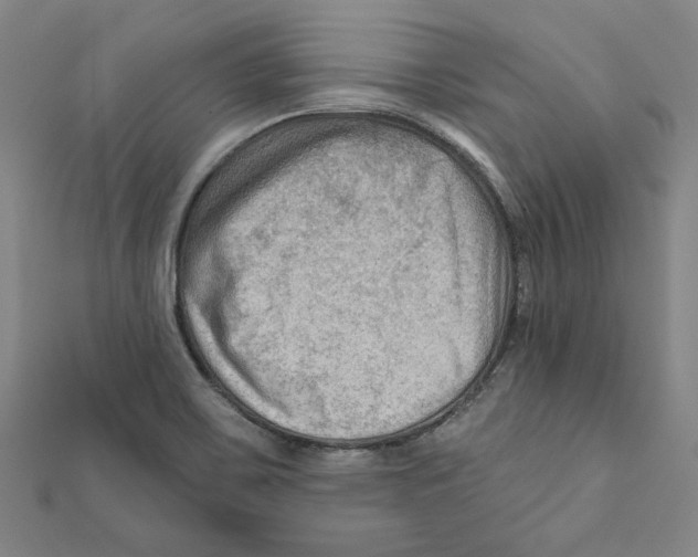 X0000111671467200908141418