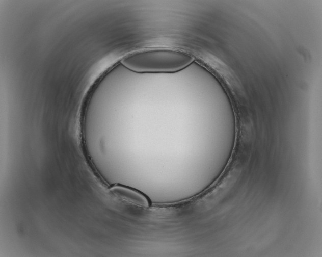 X0000111671469200908141418