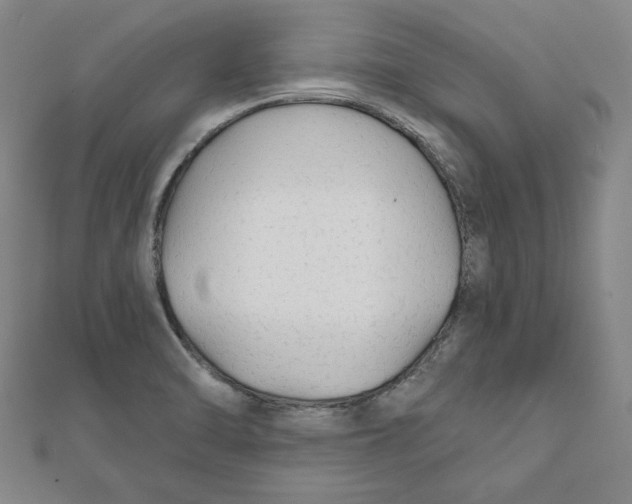 X0000111671470200908141418