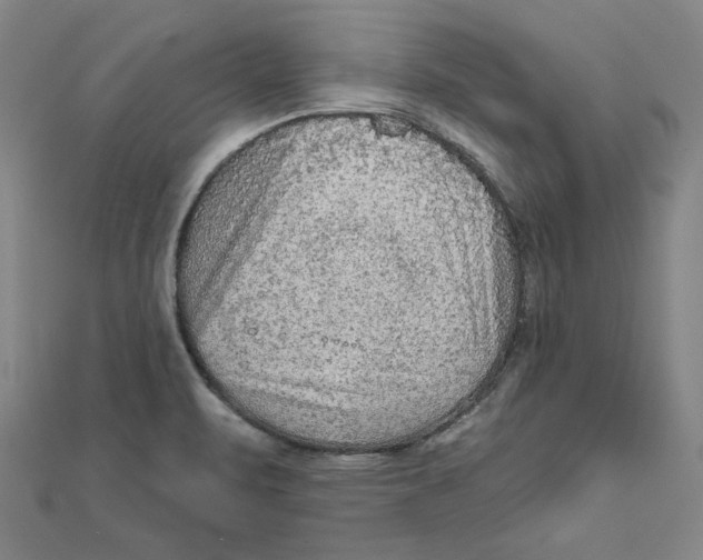 X0000111671471200908141418