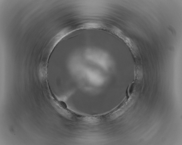 X0000111671473200908141418