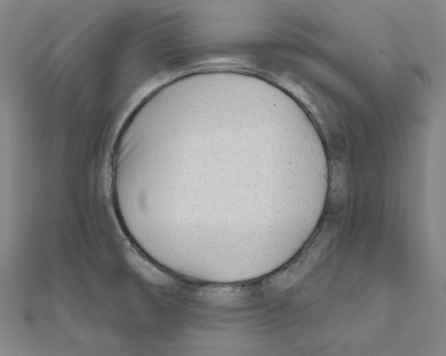 X0000111671474200908141418