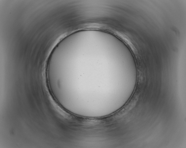 X0000111671475200908141418