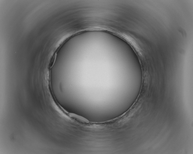 X0000111671476200908141418