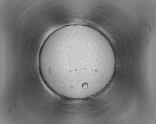 X0000111671479200908141418