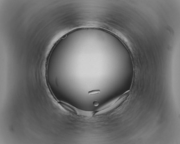 X0000111671480200908141418