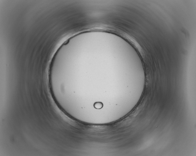 X0000111671483200908141418