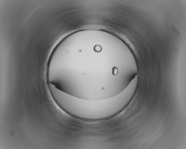 X0000111671484200908141418