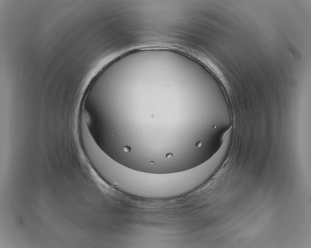 X0000111671485200908141418