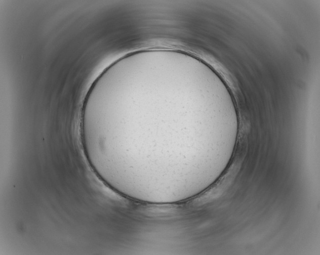 X0000111671486200908141418