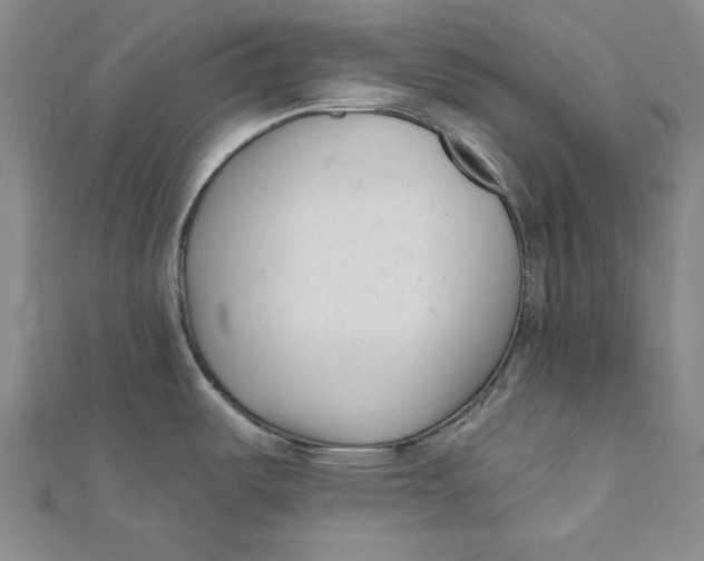 X0000111671487200908141418