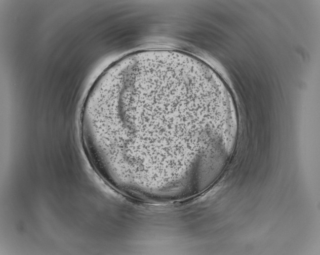 X0000111671488200908141418