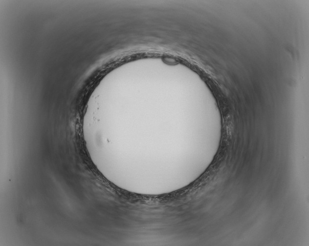 X0000111671495200908141417