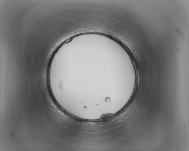 X0000111671500200908141417