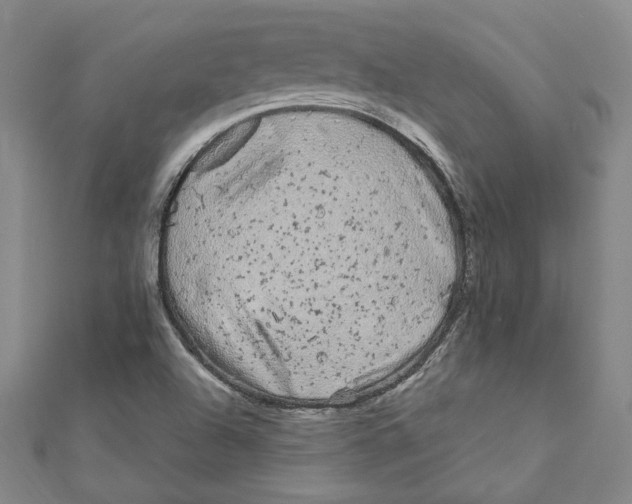 X0000111671504200908141417