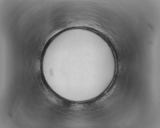 X0000111671505200908141417