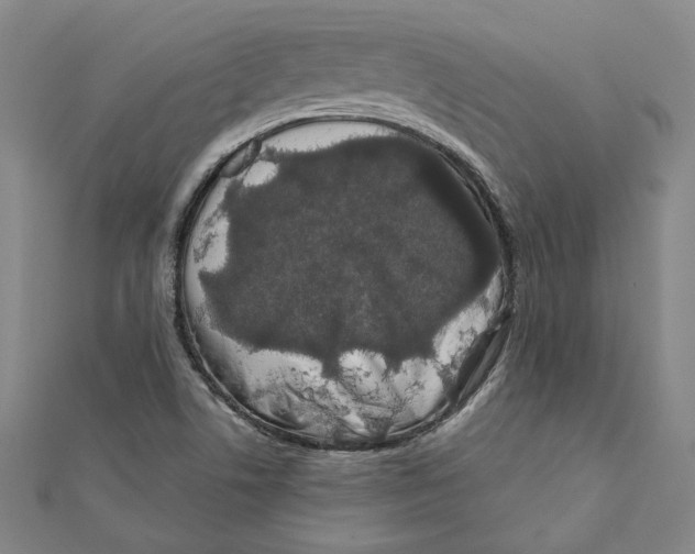 X0000111671506200908141417