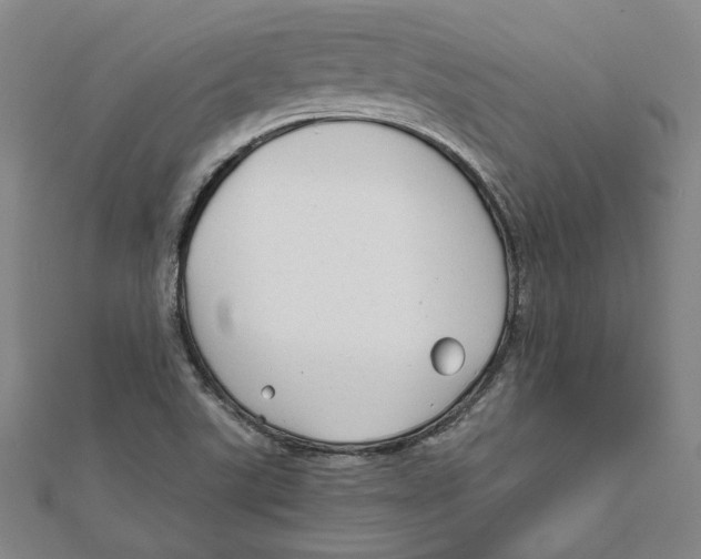 X0000111671507200908141417