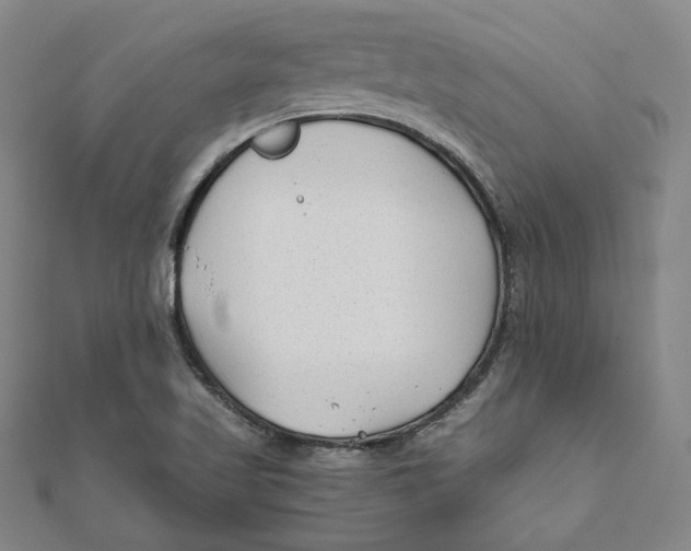 X0000111671509200908141418